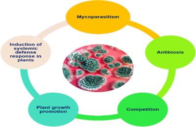 Molecular interaction between plants and Trichoderma species against soil-borne plant pathogens